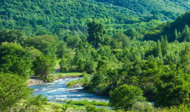 Dağlarda yaz. Dağlık arazide bir nehir. Yaz manzarası. Binlerce yorgun, sinirli, aşırı medeni insan, dağlara gitmenin eve gitmek demek olduğunu anlamaya başlıyor..