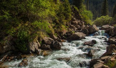 Dağlarda yaz. Dağlık arazide bir nehir. Yaz manzarası. Binlerce yorgun, sinirli, aşırı medeni insan, dağlara gitmenin eve gitmek demek olduğunu anlamaya başlıyor..