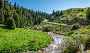 Dağlarda yaz. Dağlık arazide bir nehir. Yaz manzarası. Binlerce yorgun, sinirli, aşırı medeni insan, dağlara gitmenin eve gitmek demek olduğunu anlamaya başlıyor..