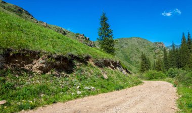 Dağlarda yaz. Yol dağlık arazide uzanıyordu. Hiçbir dağ bana yaklaşamadı. Bu yüzden hep onlara gidiyorum.