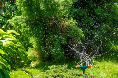 Bahçeni su fıskiyesiyle sulu ve sağlıklı tut. Elle sulamaya gerek kalmadan bitkilerinizi kolayca sulayın. Suyun bahçenizin her yerine eşit olarak dağıtıldığından emin olun..