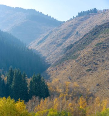 Tien Shan dağlarındaki sonbaharın nefes kesici güzelliğinin tadını çıkar. Manzarayı canlı renklerle boyamış görkemli ilkeler ve huş ağaçları arasında dolaş.