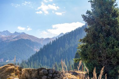Tien Shan Dağları 'nın çarpıcı sonbahar renklerini tecrübe edin. Kendinizi doğanın nefes kesici güzelliğine daldırın. Doğa aşıkları için ideal bir tatil yeri..