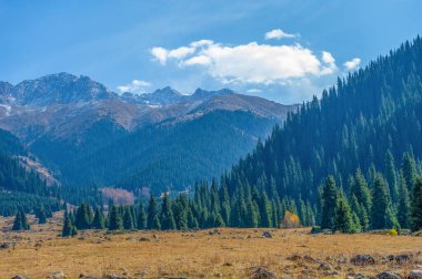 Sonbaharda Tien Shan dağlarının güzelliğini hisset. Yeşillik ve renkli çiçeklerle çevrili rahatlatıcı bir yürüyüş yap. Dağ yamaçlarının sakinliğinin ve huzurunun tadını çıkar..