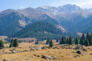Kendini Tien Shan Dağlarının dingin güzelliğine daldır. Yürürken sonbahar cazibesini hisset. Yeşillik ve renkli çiçeklerle çevrili huzurlu bir atmosferin tadını çıkar..