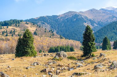 Tien Shan dağlarındaki sonbaharın güzelliğini hisset. Yeşillik ve renkli çiçeklerle dolu huzurlu bir gezintinin tadını çıkar. Bu yamaçtaki yeri keşfederken kendinizi sükunete daldırın.