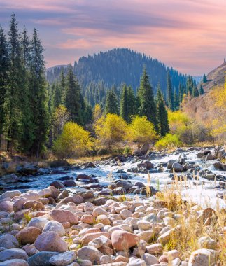 Kendini doğanın dingin güzelliğine bırak. Nefes kesici bir ormanda sonbaharın kucaklamasını hisset. Tien Shan dağlarında dolaşan berrak bir nehrin huzurunun tadını çıkar..