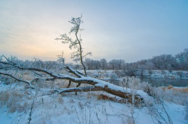 Şafak vakti, bu karla kaplı tarlada, uzun ağaçların nöbetçiler gibi durduğu ve dokunulmamış otların kabarık beyaz tabakaların altından dışarı baktığı büyüleyici bir yolculuğa hazır olun! Kış Macerası