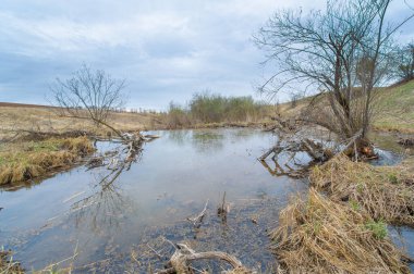 Çölün ortasında gizli bir kunduz jakuzisi bulduğunda! Doğa Ana kalacak en iyi yerleri sağlarken kim lüks otellere ihtiyaç duyar ki? Kunduz Kaplıcası Mutluluğu