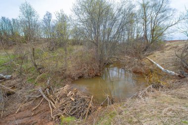 Sonsuz tarlalar arasında büyüleyici bir vaha keşfedin. Kunduz cennetinin güzelliğini tecrübe edin. Gizemli Göl 'ün doğal serenadını dinle..