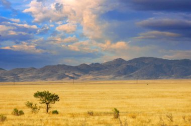 Steppe, bozkırda güneş ufuktan aşağı batarken gökyüzü parlak renklerle parıldıyor. Issız çölü bir gece daha izolasyonla baş başa bırakıyor. Hayatın gelgitlerinin ve akışlarının canlı bir hatırlatıcısı..