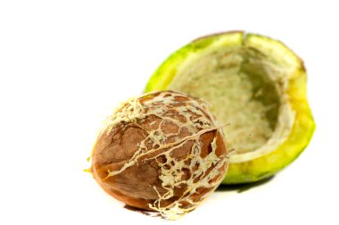 Ceviz. Her zaman siyah ceviz yiyebilirim, haftanın tadı değil.!