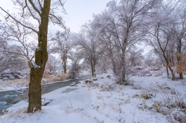 Nehir kışın donar. Kış beni düşündürüyor. Güneş daha sonra doğup daha erken batarken nehirde geçirebileceğiniz saatler kısalıyor..