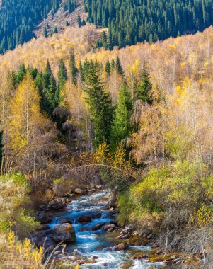 Tien Shan dağlarının ve bereketli bitkilerinin güzelliğinin tadını çıkar. Nefesinizi kesecek resimli manzaralarda kaybolun. Ruhunu gençleştir. Etrafın köknar ve huş ağaçlarıyla çevrili..
