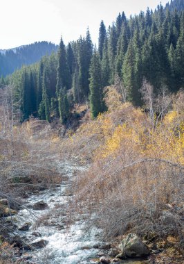 Tien Shan ormanlarının ve dağların güzelliğinin tadını çıkar. Sizi dehşete düşürecek nefes kesici panoramalar. Resimli manzaralarla ruhunu tazele..