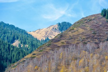 Görkemli Tien Shan dağlarını keşfedin ve kendinizi doğanın güzelliğine daldırın. Huş ağacı patikalarında dolaş ve yol boyunca saklı mücevherleri keşfet..