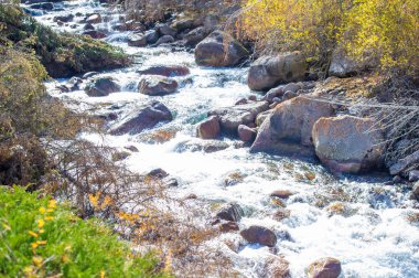 Kendinizi doğanın senfonisinin dinginliğine bırakın. Büyüleyici bir ormanda sonbaharın canlı renklerinin tadını çıkar. Görkemli dağların arasından akan kristal berraklığında büyülenirsin..