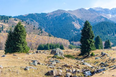 Sonbahar Tien Shan dağlarının muhteşem yaratılışının tadını çıkarın. Kendinizi canlı yeşilliklere ve resimsel manzaraya daldırın. Doğa severler ve fotoğraf meraklıları için ideal bir yer..