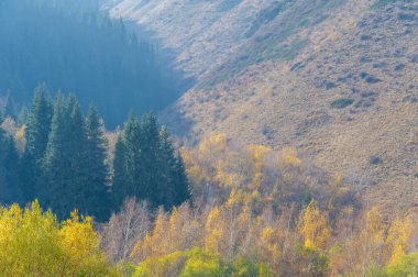 Sonbahar yapraklarının güzelliğine dalın. Dağlarla çevrili bir ormanın huzurunu hissedin. Kendini doğanın kollarında kaybet ve teselli bul..