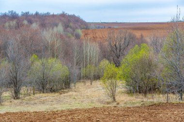 Yetiştiren Dünya 'nın güzelliğini ve tazelenmesini tecrübe edin. Hasat mevsimi. Güneşli bir tarlada hayat döngüsüne tanık olun. Dünyanın nimetlerini bizimle kutla..