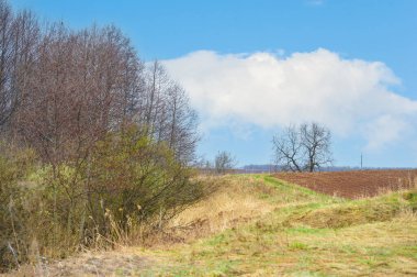 Caring Earth hasat sezonunun yenilenmesini ve bolluğunu tecrübe edin. Güneşli tarlalarda fısıldayan hikayeleri keşfedin. Yaşam döngüsünü ve Dünya 'nın cömertliğini kutlayın..
