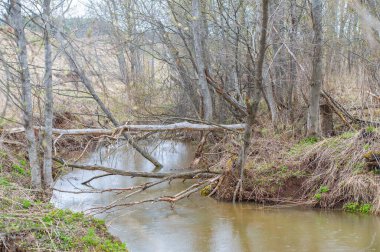Sonsuz tarlaların arasında gizlenmiş büyüleyici bir vahayı keşfet. Gizemli Gölet 'te doğanın serenatını tecrübe et. Kunduz cenneti ve onun vahşi harikalarını keşfedin..