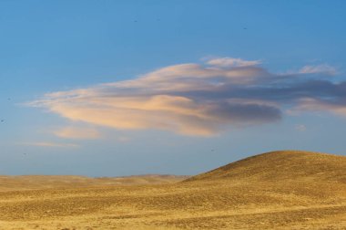 Steppe, Prairie, sade, pampa. Güneşin altın renkleri çayırların altına batar, doğanın renklerinin bir başyapıtını resmeder! Günbatımı Titreşimleri, Doğa En İyisi