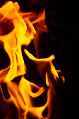 Ateşle. Yangın dünyadaki ekolojik sistemleri etkileyen önemli bir süreçtir. Olumlu etkiler arasında büyümenin teşvik edilmesi ve çeşitli ekolojik sistemlerin korunması yer alıyor