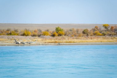 Olağanüstü doğal harikalar beklenmedik yerlerde ortaya çıkar. Çölün ortasında dolanan bir nehrin bu dramatik görüntüsünden de anlaşılacağı gibi..