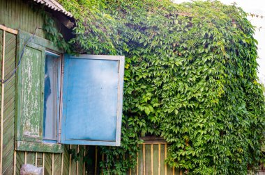 Terk edilmiş eski bir evin gizemlerini keşfedin. Karanlık sırlarını ve saklı hazinelerini keşfedin. Perili bir ortamda ürpertici bir macera yaşayın.
