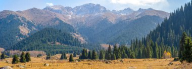 Tien Shan dağlarındaki sonbaharın nefes kesici güzelliğinin tadını çıkar. Görkemli köknar ve huş ağaçlarının çarpıcı bir manzara yarattığına tanık olun. Kayalık kayalıklarda huzur ve sükunet bul.