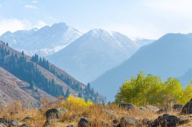 Majestic Tien Shan ladin ve huş ağaçları kayalık kayalıklar arasındaki sonbahar manzarasını güzelce süsleyerek bu büyüleyici dağ tepelerine huzur getirirler. Sonbahar Görkemi