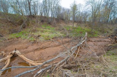 Sonsuz tarlaların arasında gizlenmiş büyüleyici bir vahayı keşfet. Gizemli Gölet 'te doğanın serenatını tecrübe et. Kunduz cenneti ve onun vahşi harikalarını keşfedin..