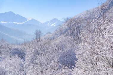 Dağlar. Kış geliyor ve yağan karla birlikte, bir birliktelik hissi çöküyor, bu kış harikalar diyarı romantik bir kaçış için mükemmel bir yer ve zaman..
