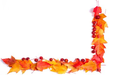 Eşsiz ve güzel gerçek sonbahar yaprağı çerçeveleri çeşitli yaprak boyutları ve renkleri içeren her yere doğal ve mevsimsel bir dokunuş ekler.