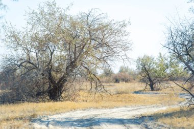 Bozkırda, kırda ve bozkırda sonbaharın güzelliğinin tadını çıkar. Toprak yollar boyunca manzaralı bir gezinti yapın ve nefes kesici manzaralar keşfedin. Uyumlu bir ilişkiye tanık olun.