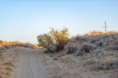 Gün batımında çölün sıcacık renklerle canlanmasını izle. Büyüleyici bir çöl günbatımının dinginliğini ve ihtişamını hissedin. Sonbaharın güzelliğini takdir etmek için bir dakikanızı ayırın.