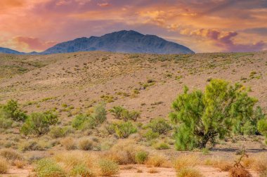 Güneşin uçsuz bucaksız sakin dağların üzerinden yavaşça inişini izlerken içinizdeki merak duygusunu ateşleyen nefes kesici renk senfonisi sizi büyülemeden duramazsınız..