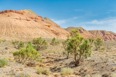 Batan güneşin yakıcı renkleri seni Boguty 'nin büyüleyici kızıl dağlarında büyüleyici bir yolculuğa çıkarsın. Kendini bu çöl vahasının dinginliğine bırak ve bırak kalbin süzülsün.