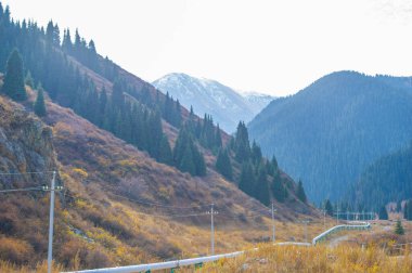 Görkemli Tien Shan dağlarını keşfedin ve kendinizi doğanın güzelliğine daldırın. Huş ağacı patikalarında dolaş ve yol boyunca saklı mücevherleri keşfet..