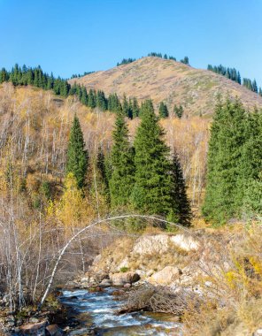 Kendinizi Tien Shan Dağları 'nın doğal güzelliğine daldırın. Yeşil ladin ve huş ağaçları nefes kesen kaya oluşumlarıyla uyumlu hale gelir. Duyularınızı uyandırmak için harika bir manzara sunar.