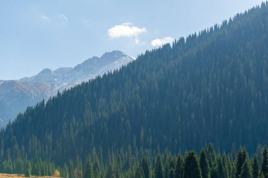 Sonbaharda Tien Shan Dağları 'nın çarpıcı güzelliğini tecrübe edin. Kendinizi canlı yeşilliklere ve nefes kesici manzaraya daldırın. Doğa aşıkları için ideal bir tatil yeri. Yürüyüş yollarını keşfet