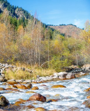 Kendini doğanın dingin güzelliğine bırak. Nefes kesici bir ormanda sonbaharın kucaklamasını hisset. Tien Shan dağlarında dolaşan berrak bir nehrin huzurunun tadını çıkar..