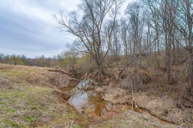 Sonsuz tarlalar arasında gizli bir vaha keşfetmek. Gizemli Gölet 'te doğanın büyüleyici serenatını tecrübe et. Kendini vahşi ve huzurlu bir kunduz cennetine daldır..