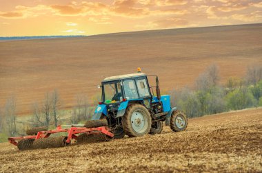 Küçük mavi traktör tarlası tarlayı süren mavi traktörün hassasiyetine ve becerisine tanık oluyor. Bu mükemmel çiftçilikle verimli hasatlar alıyoruz. Çiftçilik çabalarınızda hassasiyetin gücünü serbest bırakın..