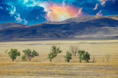 Steppe, çayır, sade, çöl. Gökyüzüne gök gürültüsü ve şimşekler çaktığında doğa ana bize onun görkemli gücünü hatırlatır, ruhumuzda korku ve huşu uyandırır. Doğa Serbest Bırakıldı
