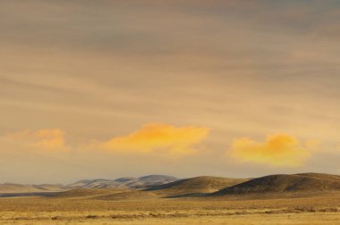 Steppe, prairie, plain, pampa. When the sun says, 