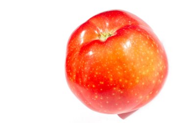 Beyaz arka planda elma. Elma ağacı - gerçek güzelliğin bir örneği