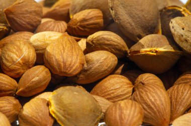 Kayısı çekirdekleri, gıda endüstrisinde, kayısı çekirdekleri düşük yağlı bisküviler, kurabiyeler, kekler ve antimikrobik film üretiminde kullanılabilir..