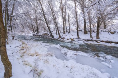 Nehir kışın donar. Ormandaki en sevdiğim kış nehri sessizliği büyüleyiciydi. Sadece rüzgarın sesi ve akan akarsu yüzünden kırılmıştı. Hala hayatta, suyun altında. kar ve buz